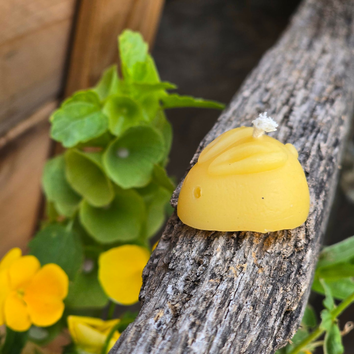 Bitty Bunny - Set of 2 | Beeswax Candle