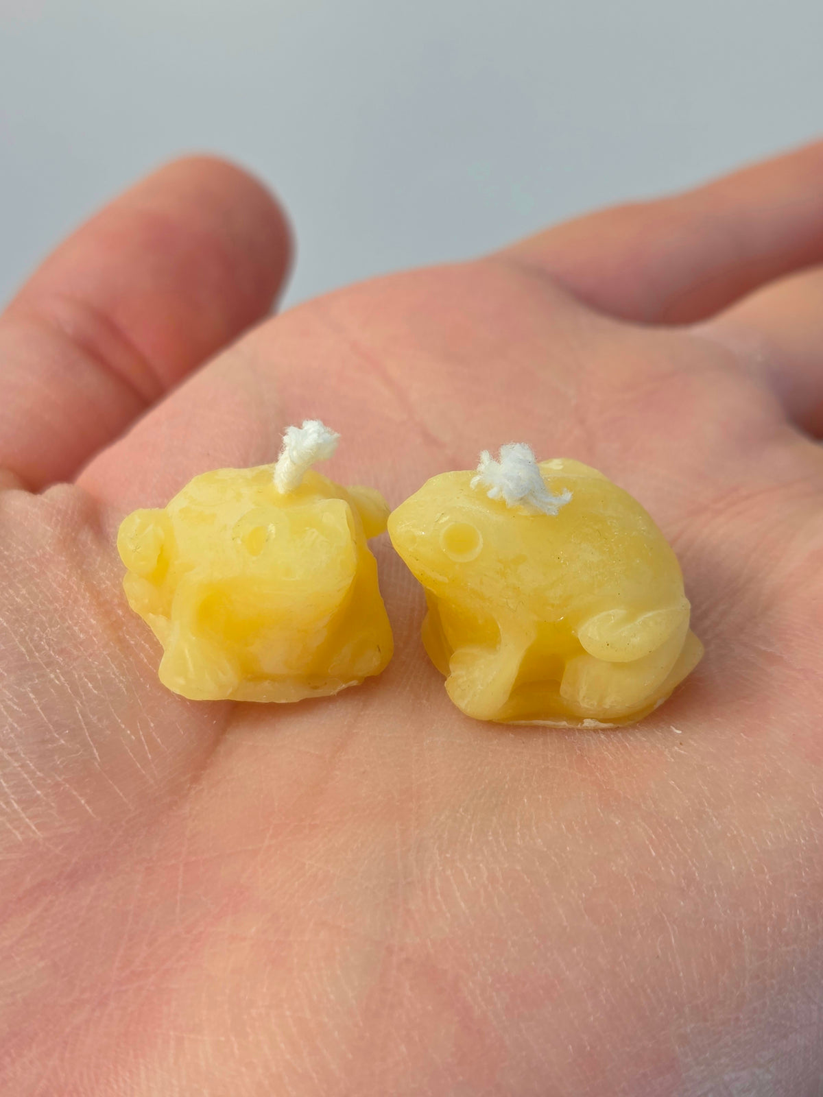 Bitty Frog | Tiny Beeswax Candle