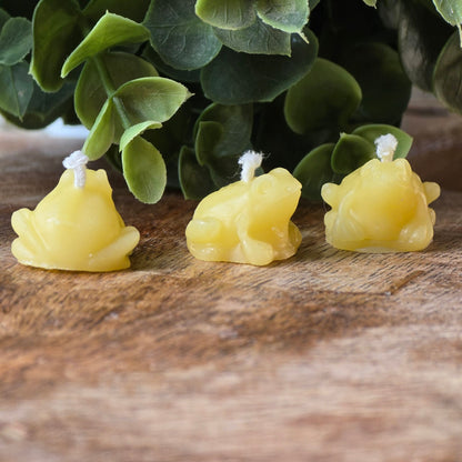 Bitty Frog - Set of 2 | Beeswax Candle