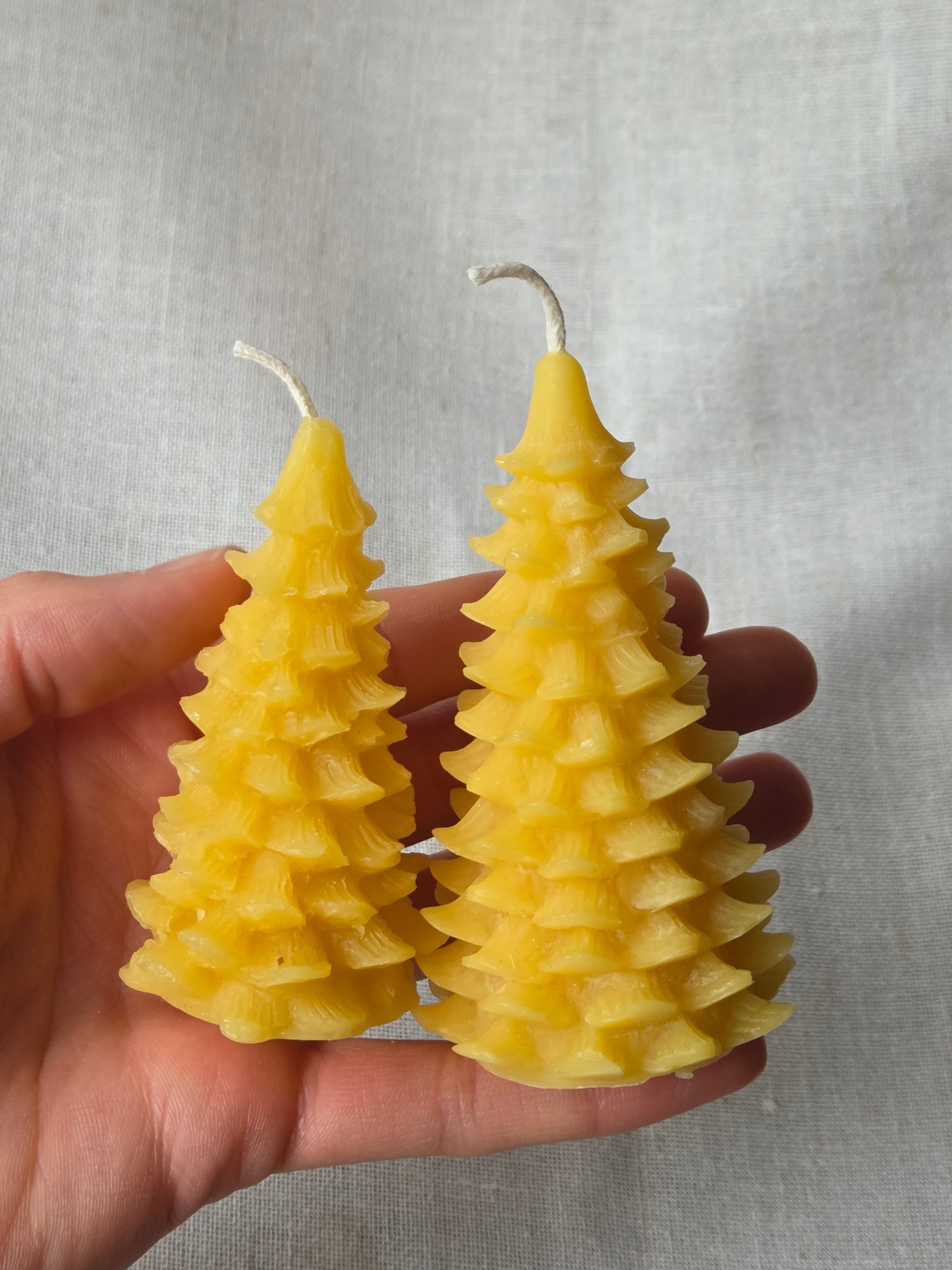 Mini Evergreen Trees - 2 Sizes | Beeswax Candles