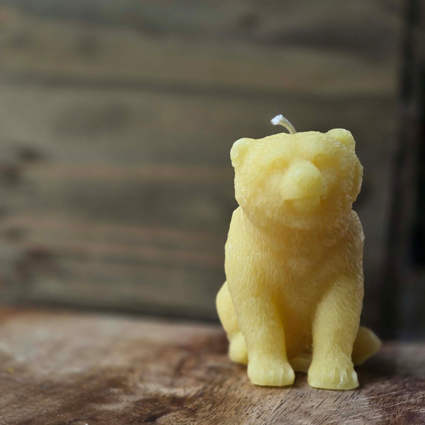 Burly Bear | Beeswax Candle