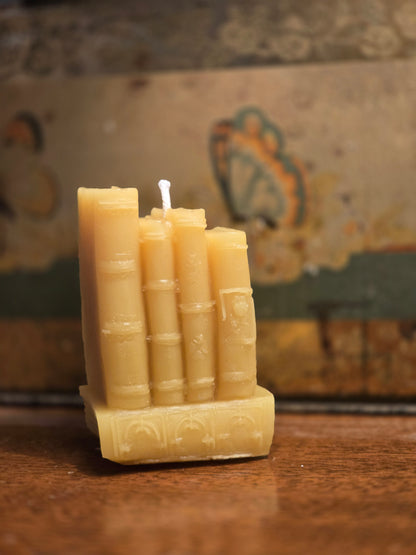 Books Are My Friends | Beeswax Candle