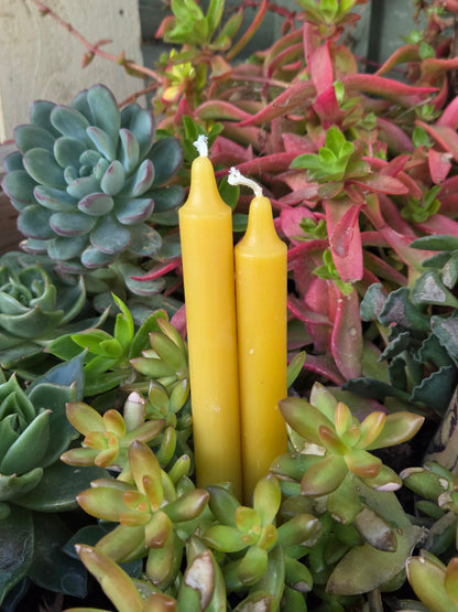 Library Taper - Pack of 5 | Beeswax Candles