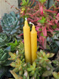 Library Taper - Pack of 5 | Beeswax Candles