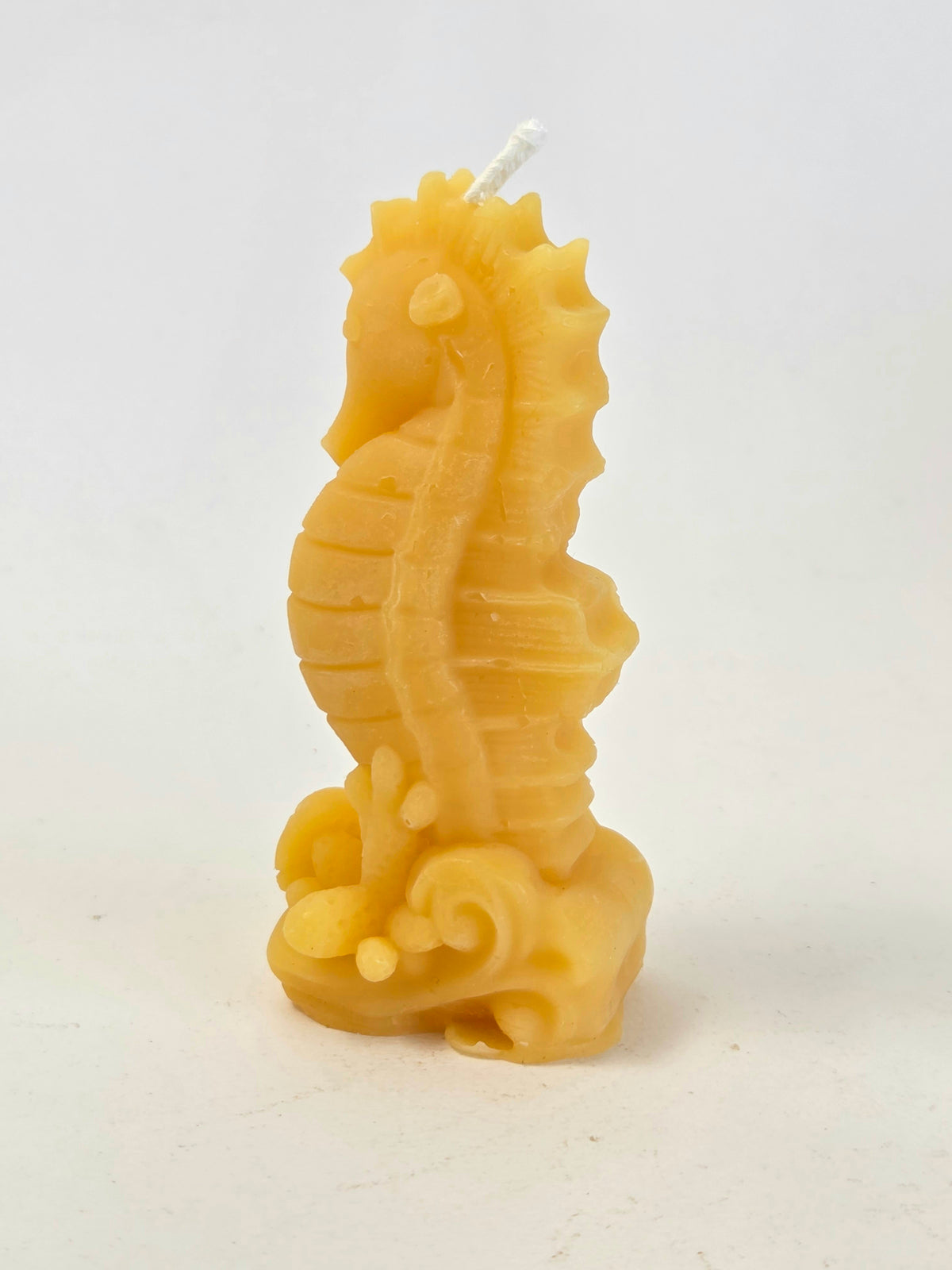 Seahorse | Ocean Beeswax Candle
