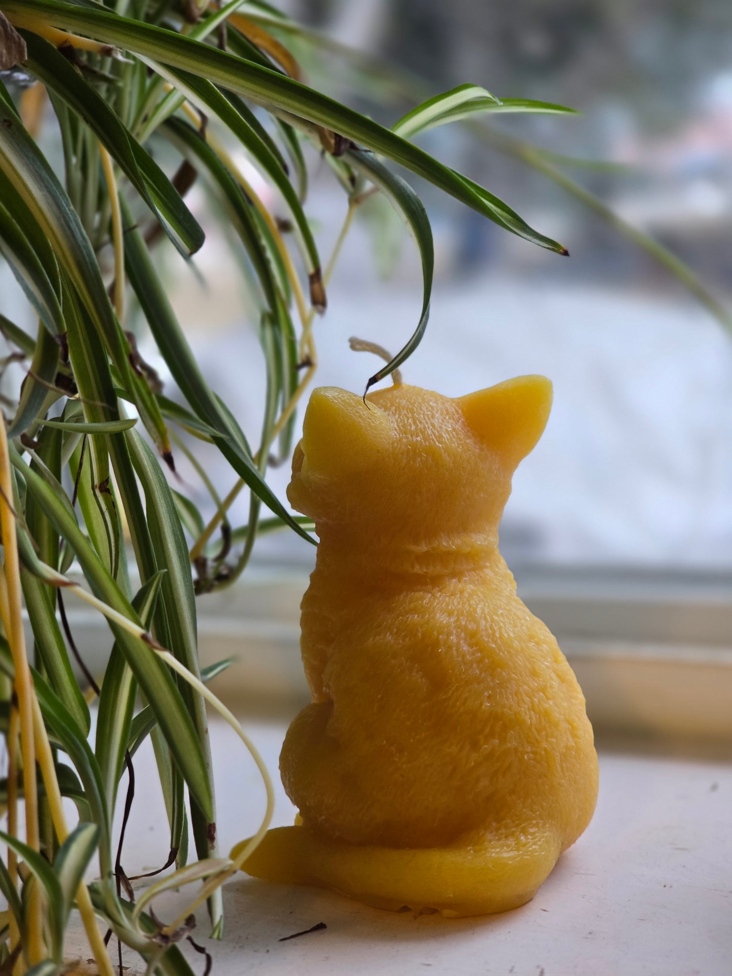 Happy Cat | Beeswax Candle