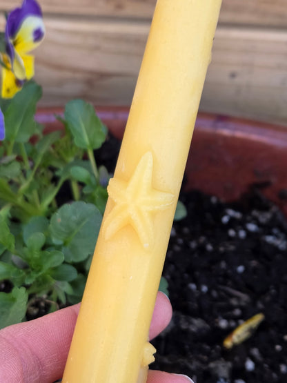 Starfish Tapers - Set of 2 | Beeswax Candles
