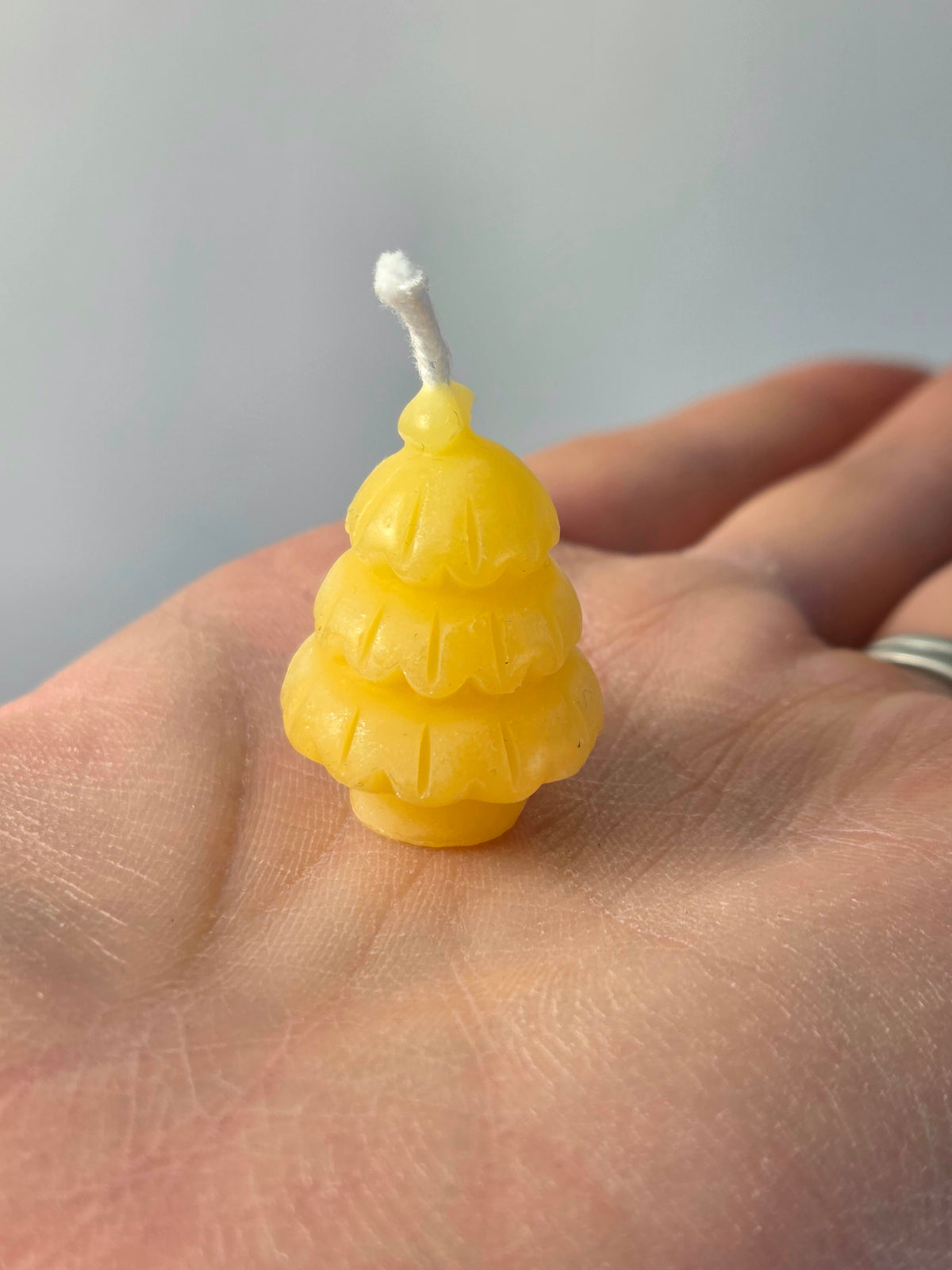 Tiny Tree | Beeswax Candle