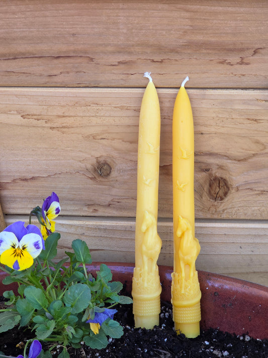 Stallion in the Sunset Tapers - Set of 2 | Beeswax Candles