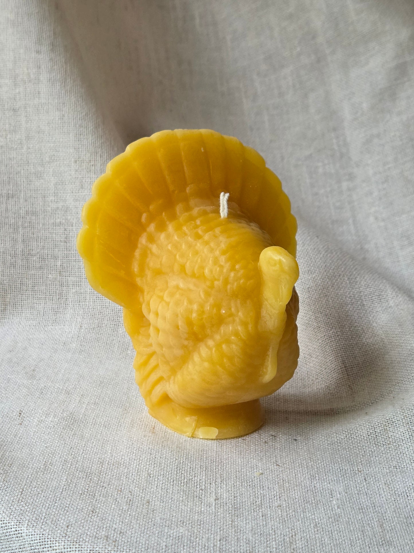 Thankful Turkey | Beeswax Candle