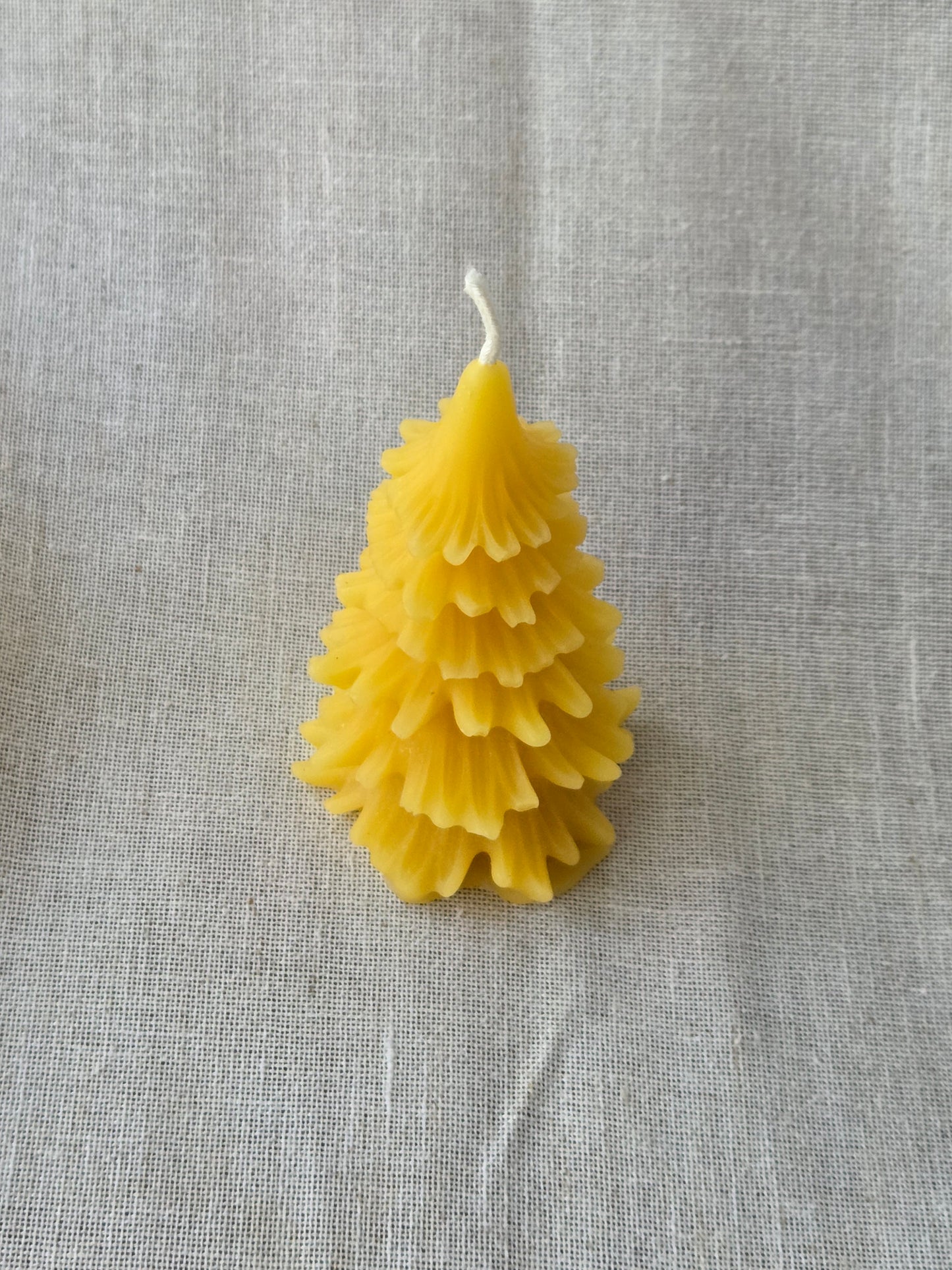 Pine Tree | Beeswax Candle