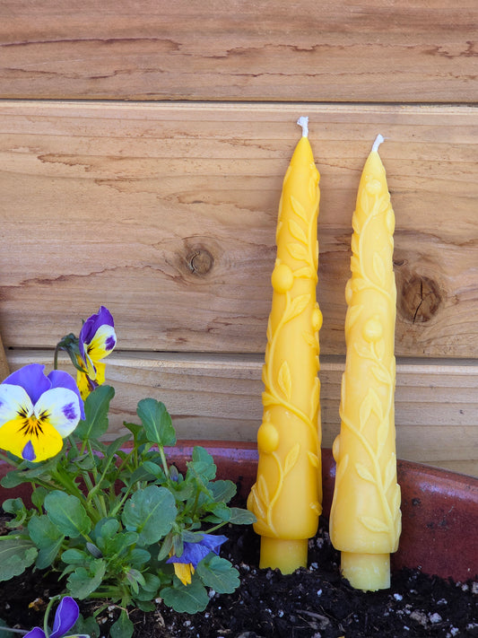 In His Garden Tapers - Set of 2 | Beeswax Candles