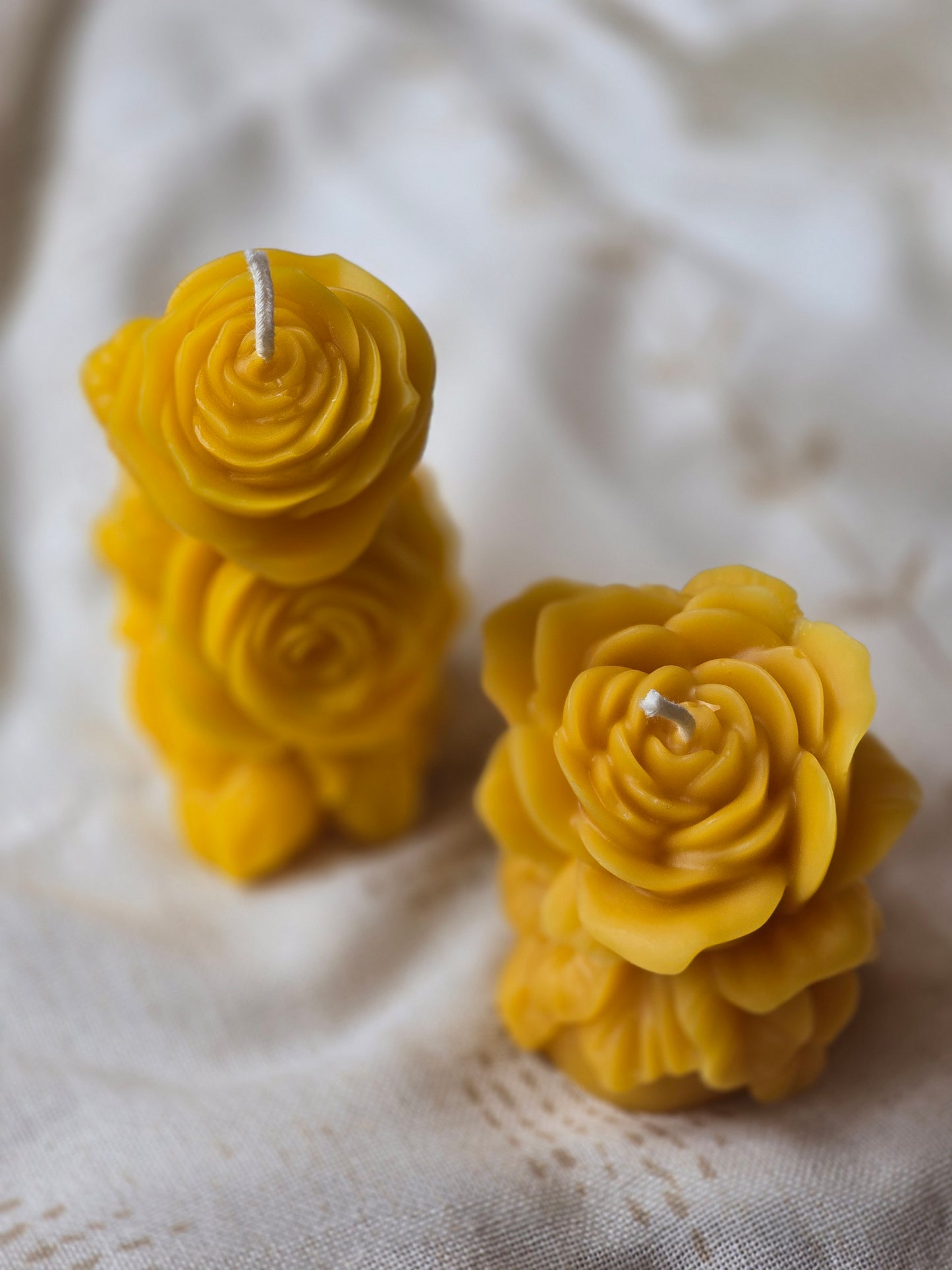 Blooming Roses Set | Beeswax Candles