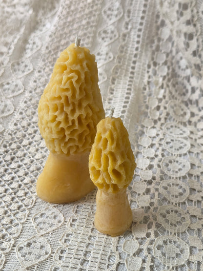 Morel Mushrooms - 2 Sizes | Beeswax Candles