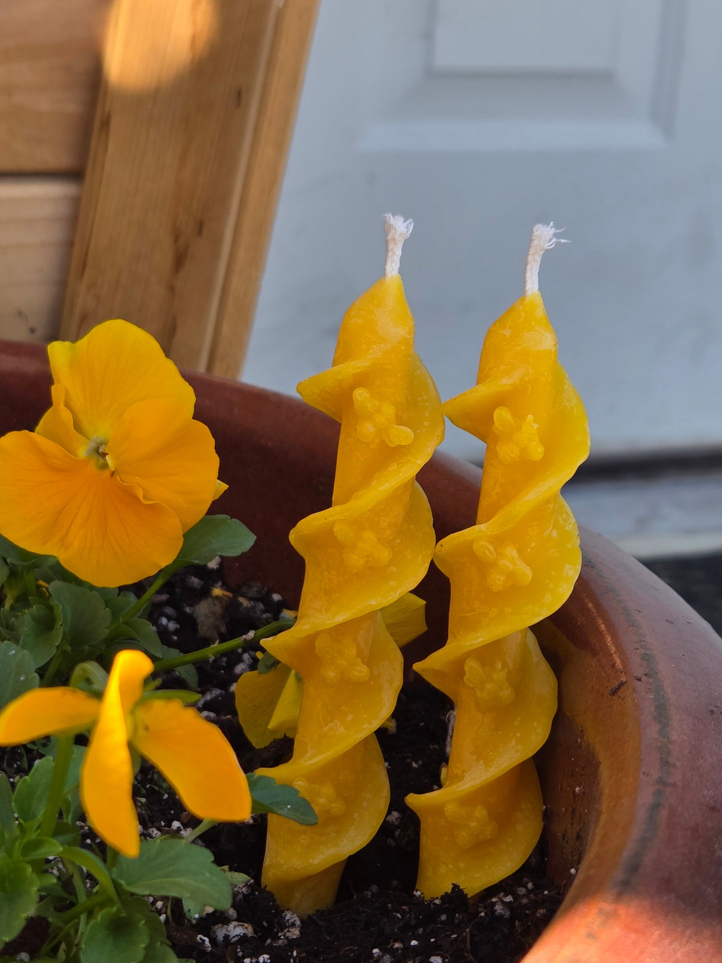 Swirl Bees Mini Taper - Set of 2 | Beeswax Candles