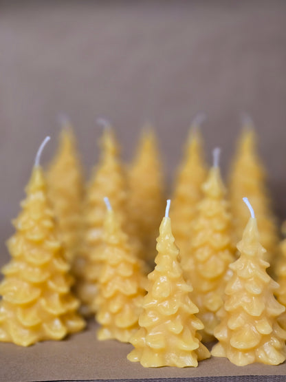 Fir Trees - 3 Sizes | Beeswax Candles