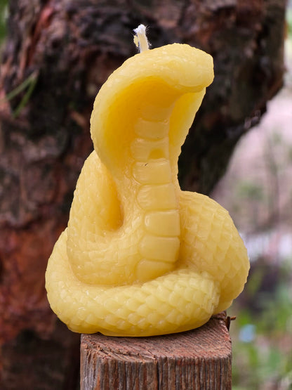 Desert Cobra | Beeswax Candle