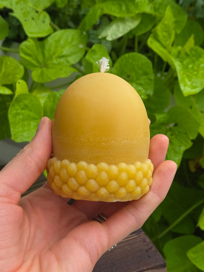 Acorn - Cap Down | Autumn Beeswax Candle