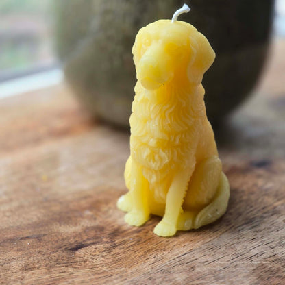 Man's Best Friend | Beeswax Candle