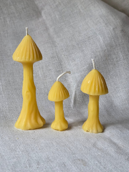 Fairy Garden Mushrooms - Set of 3 | Beeswax Candles