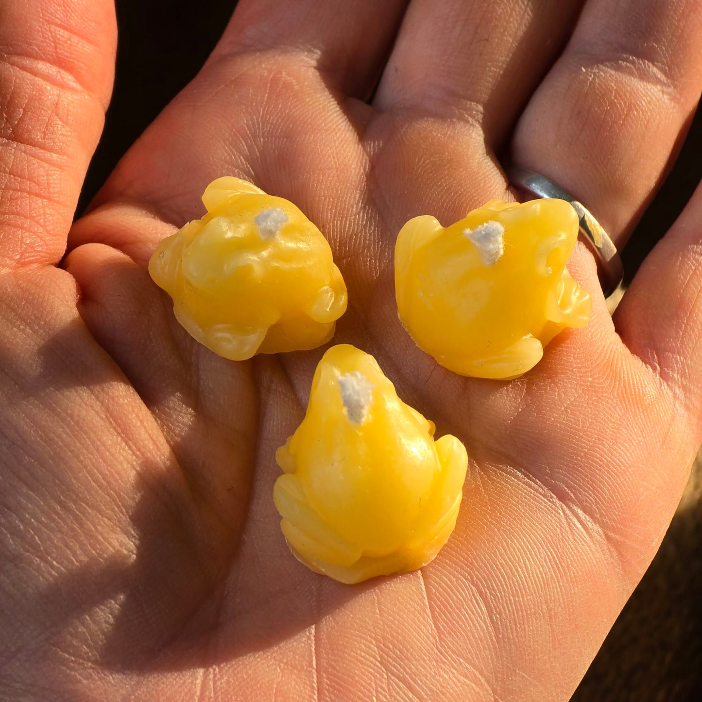 Bitty Frog - Set of 2 | Beeswax Candle