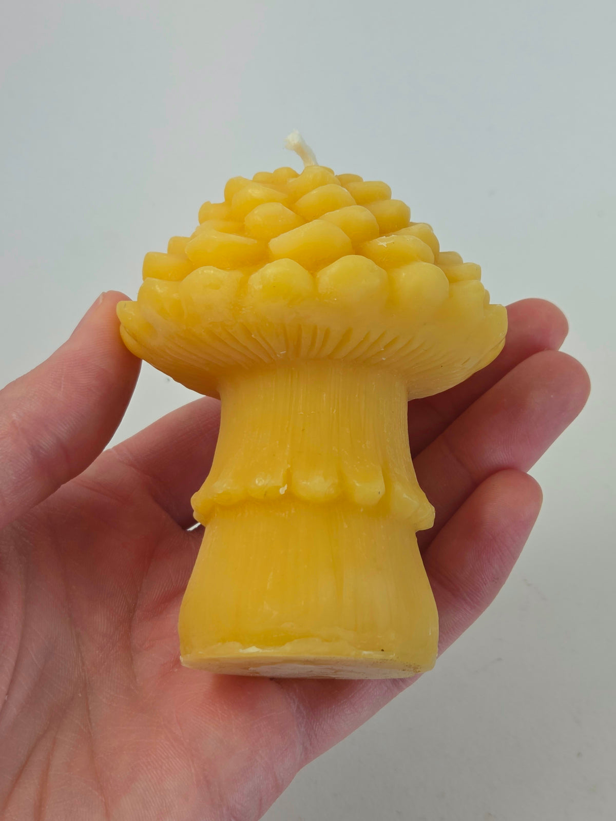Pinecone Mushroom | Beeswax Candle