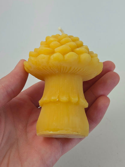 Pinecone Mushroom | Beeswax Candle