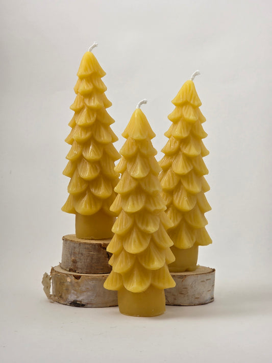 Stately Tree | Beeswax Candle