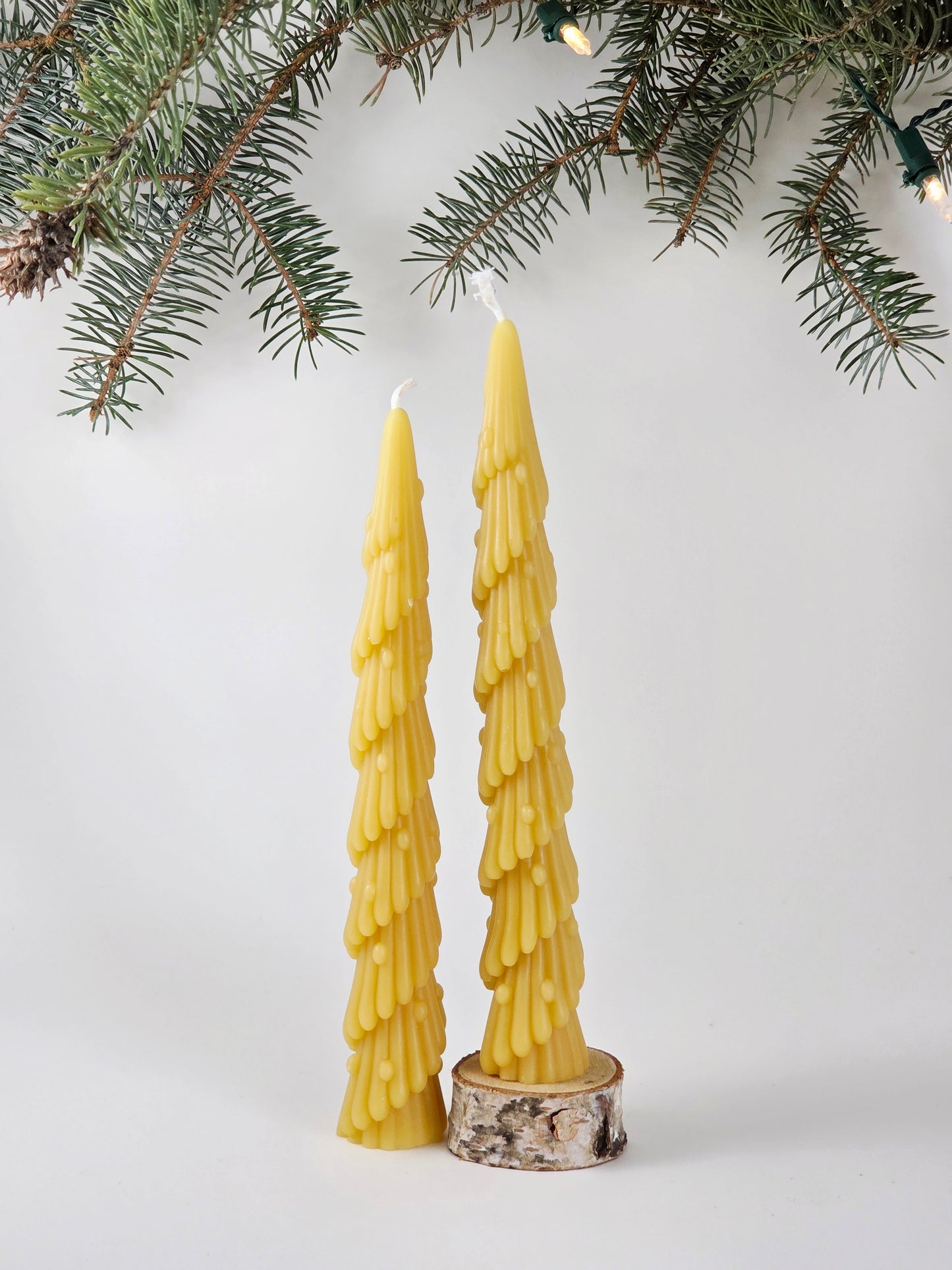 Spiral Tree Taper - Set of 2 | Beeswax Candles