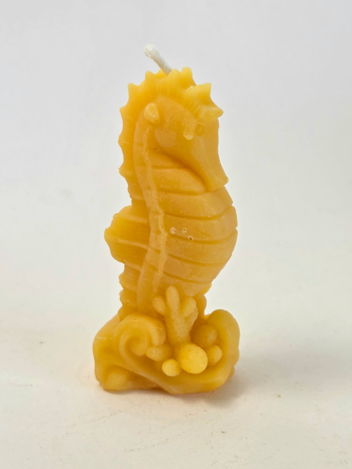 Seahorse | Ocean Beeswax Candle