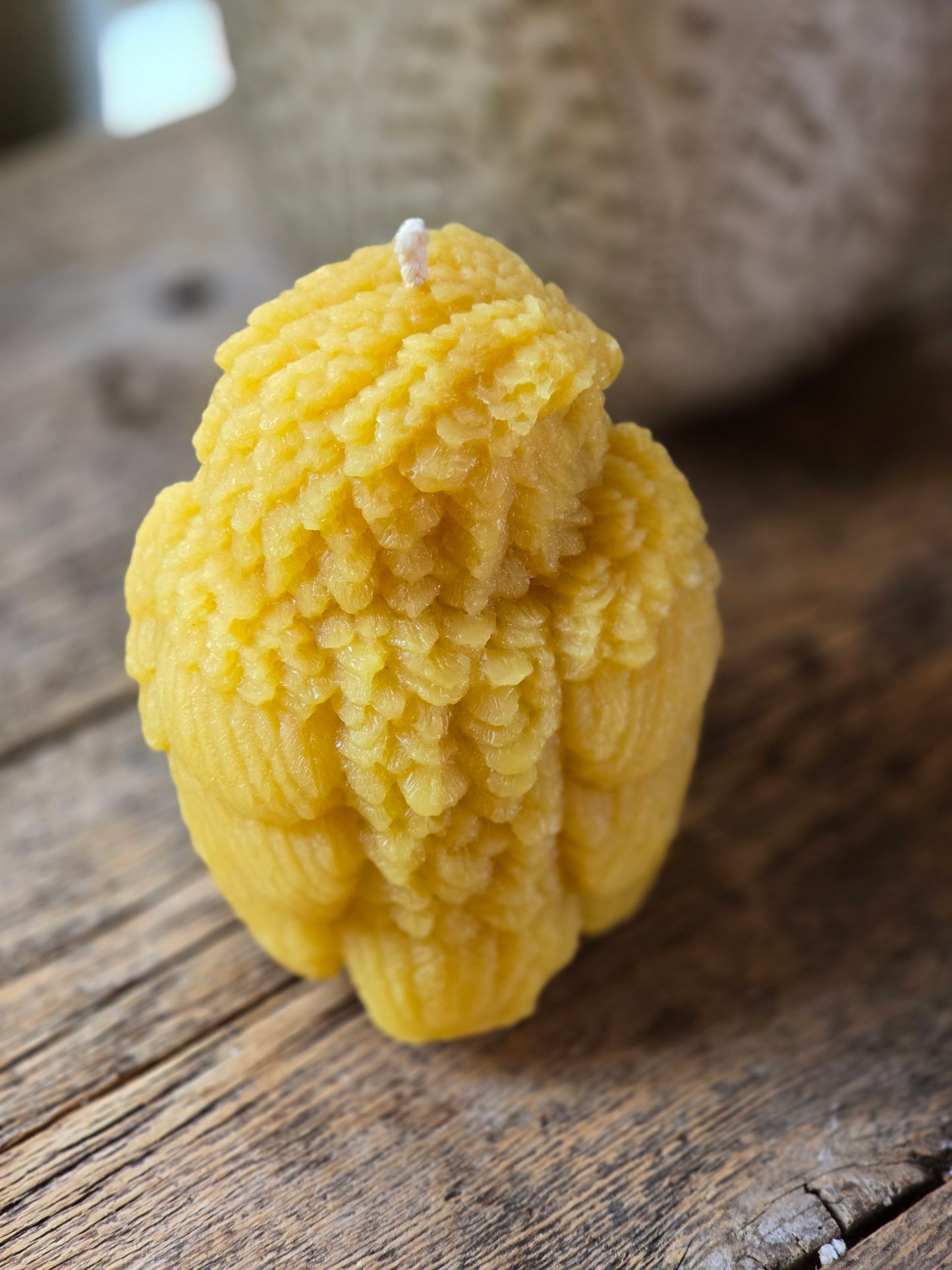 The Wise Owl | Beeswax Candle