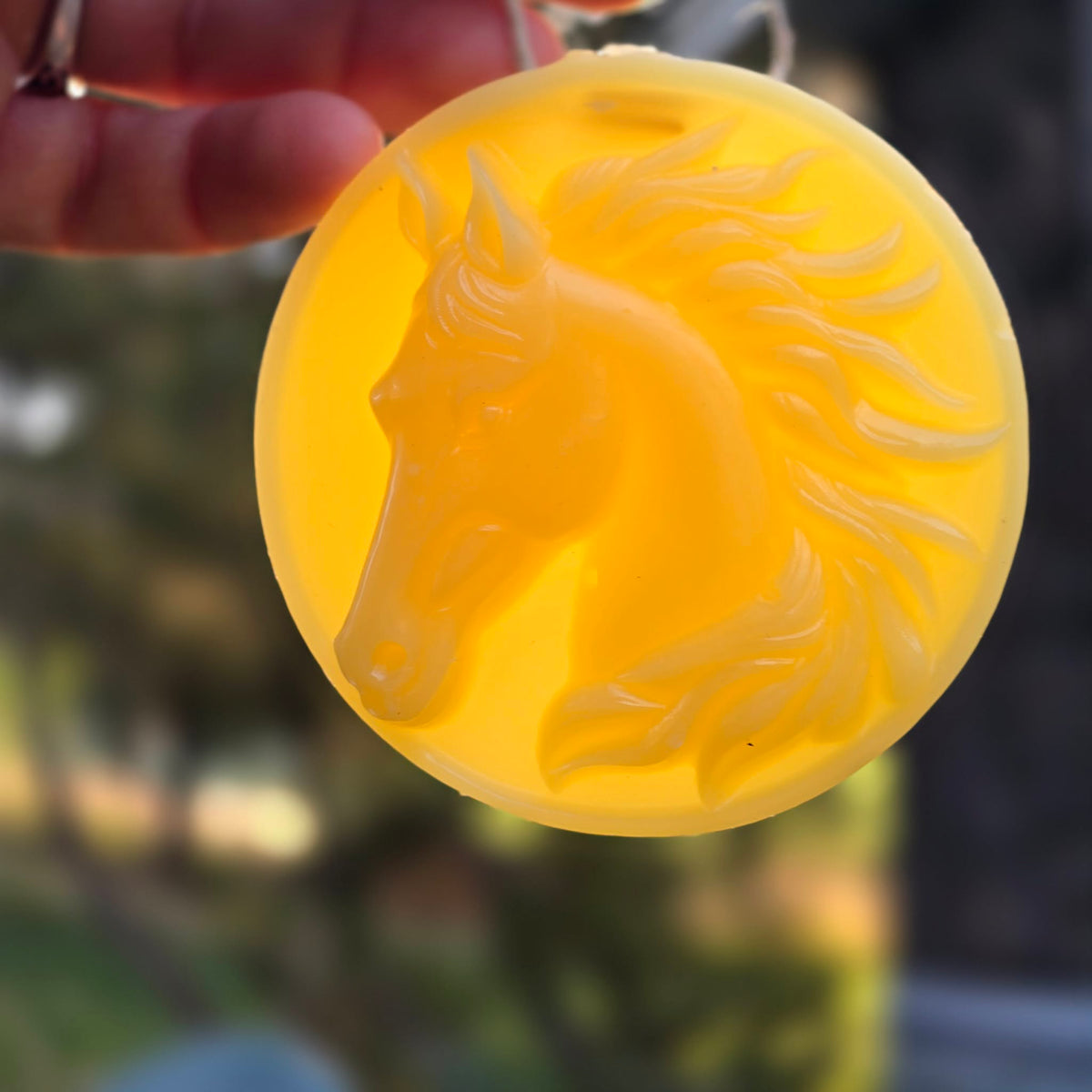 Wild and Free - Set of 4 | Beeswax Ornaments