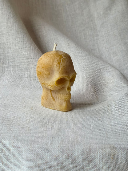 Mini Skull Votive, Set of 3 | Beeswax Candle