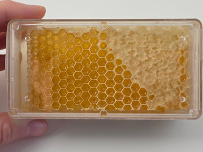 Honeycomb | Cut Comb Honey