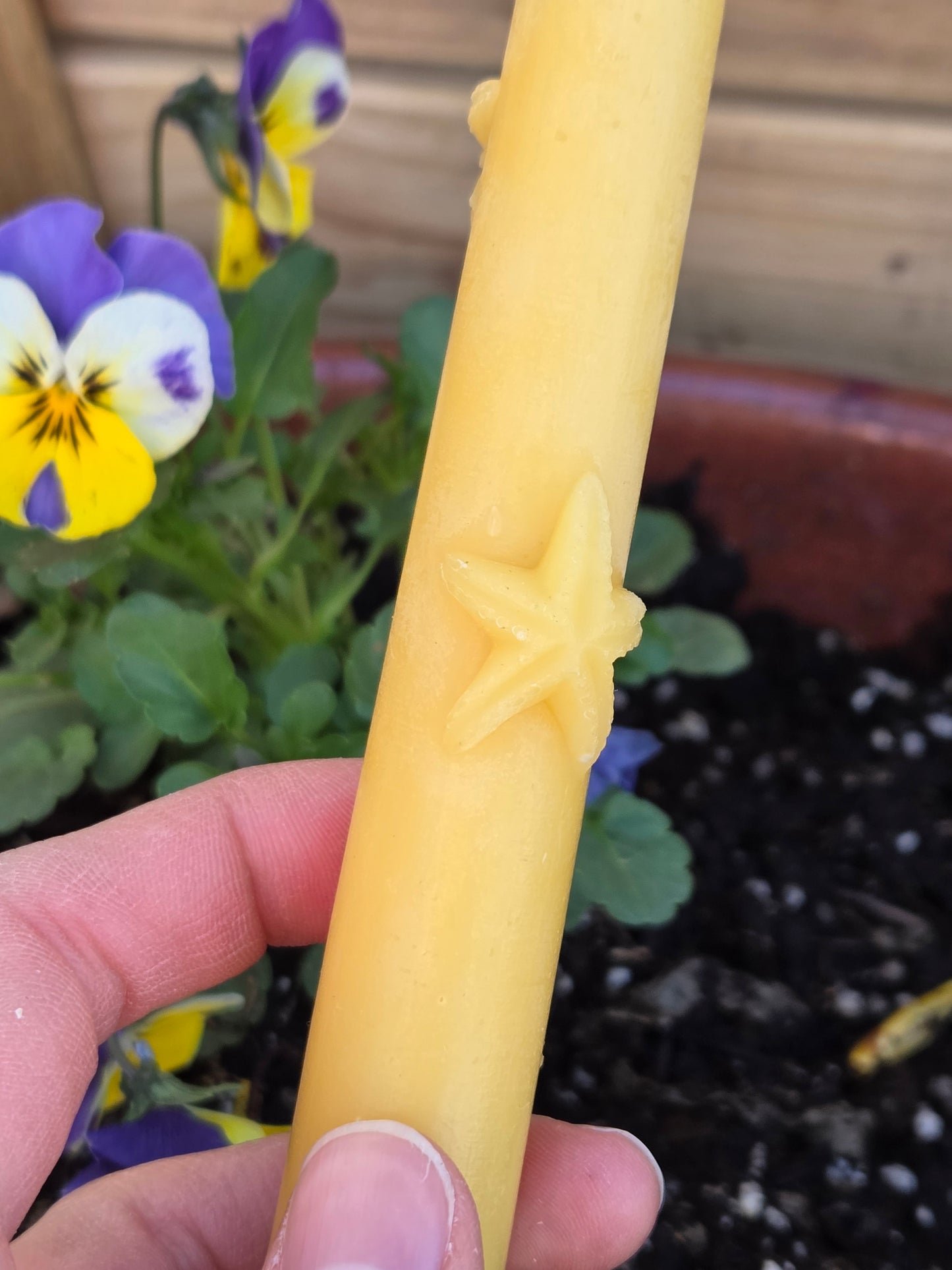 Starfish Tapers - Set of 2 | Beeswax Candles
