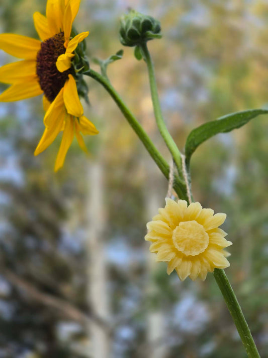 Susie's Sunflower | Beeswax Ornament