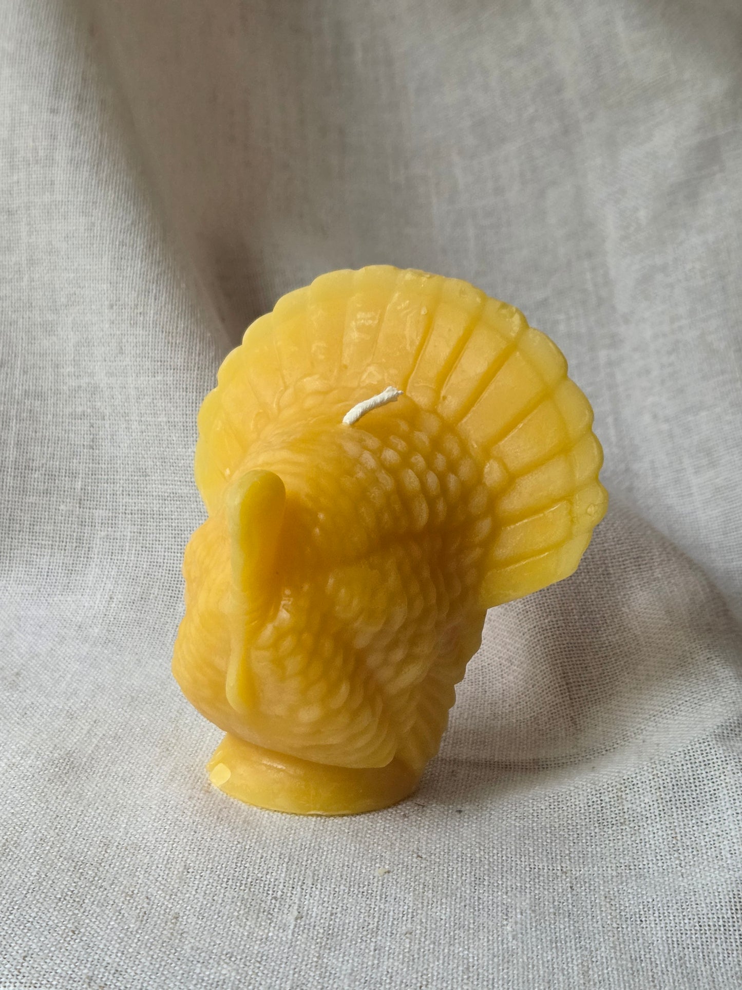 Thankful Turkey | Beeswax Candle