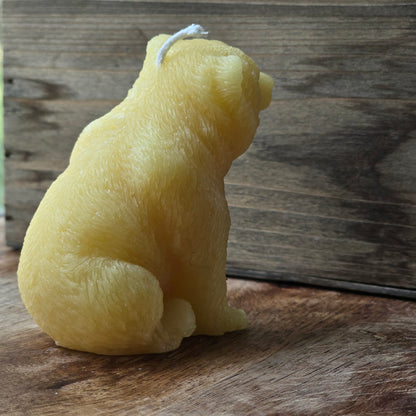Burly Bear | Beeswax Candle