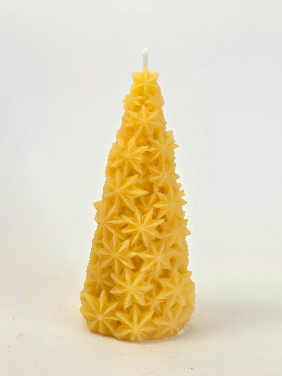 Star Anise Tree | Beeswax Candle