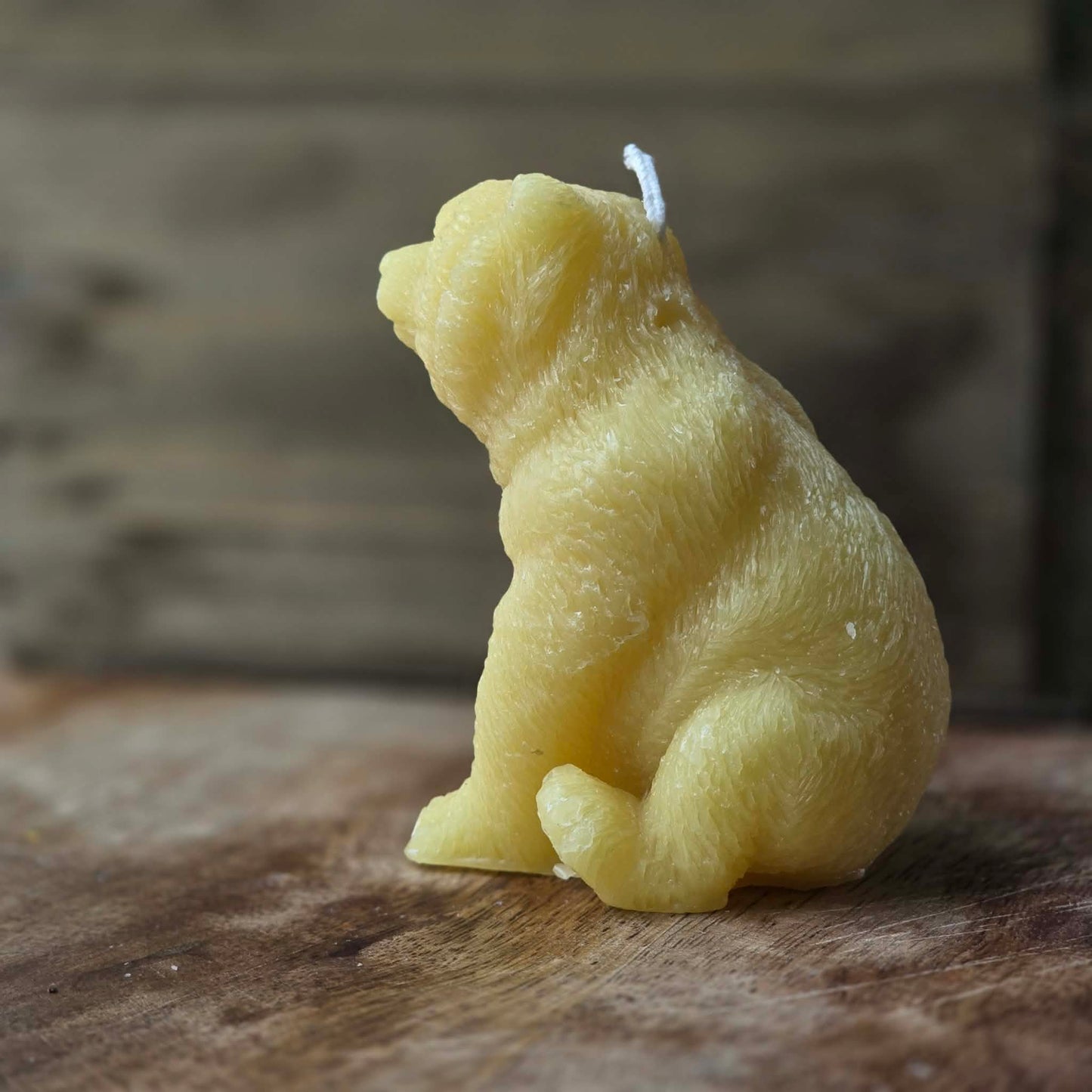 Burly Bear | Beeswax Candle
