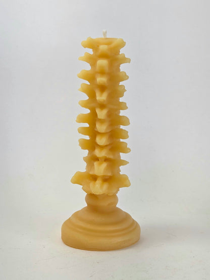 Grow a Spine | Beeswax Candle