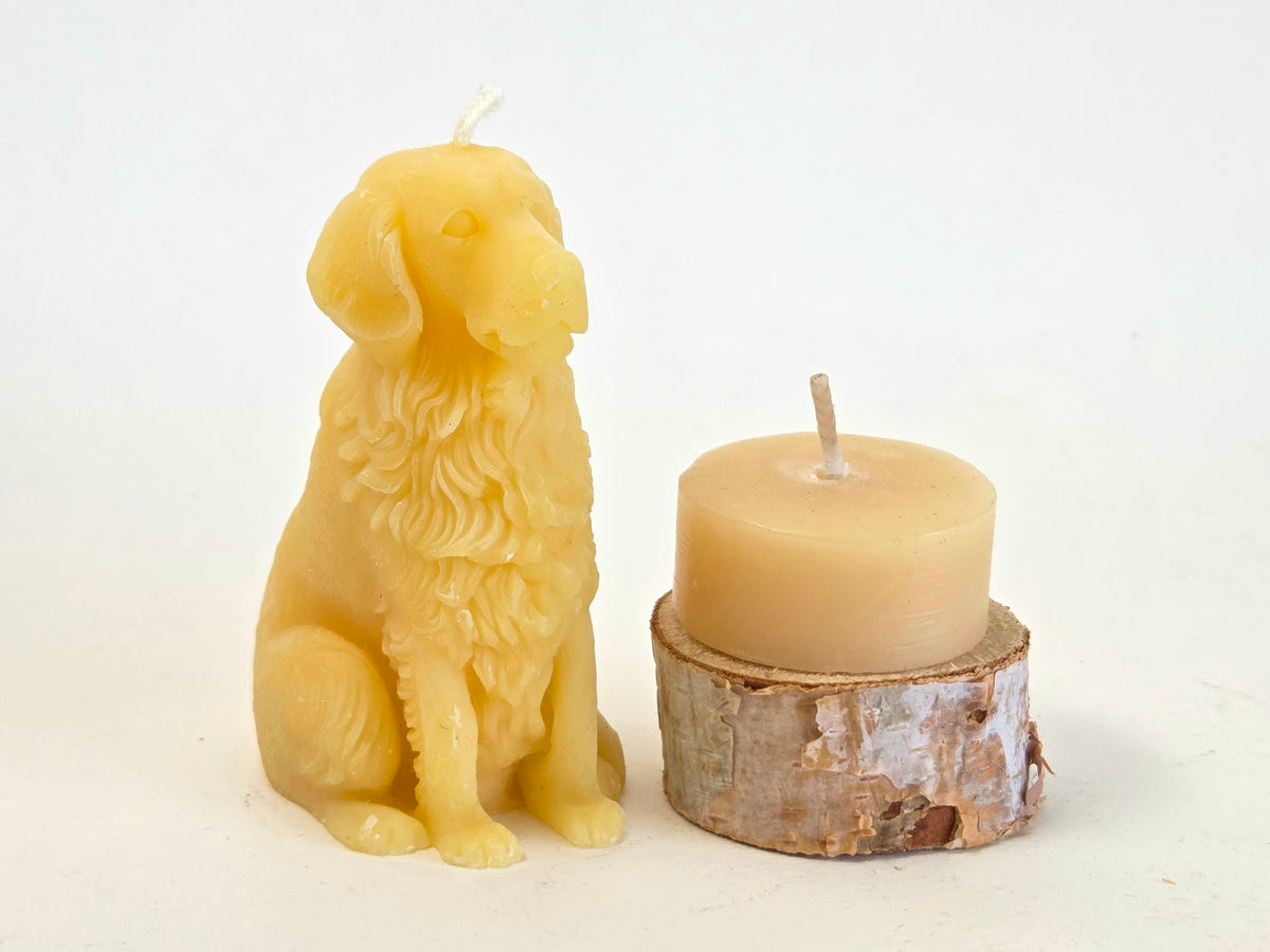 Man's Best Friend | Beeswax Candle