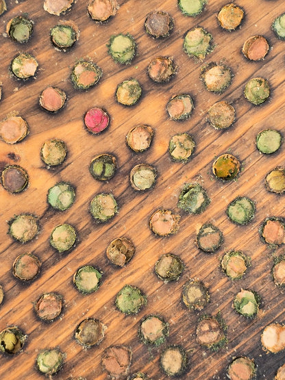 Garden Leafcutter Bees