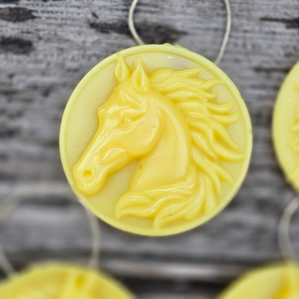 Wild and Free - Set of 4 | Beeswax Ornaments