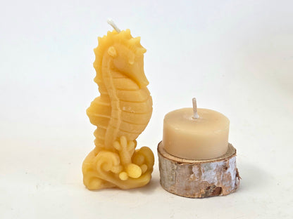 Seahorse | Ocean Beeswax Candle