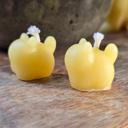 Bitty Kitty - Set of 2 | Beeswax Candle