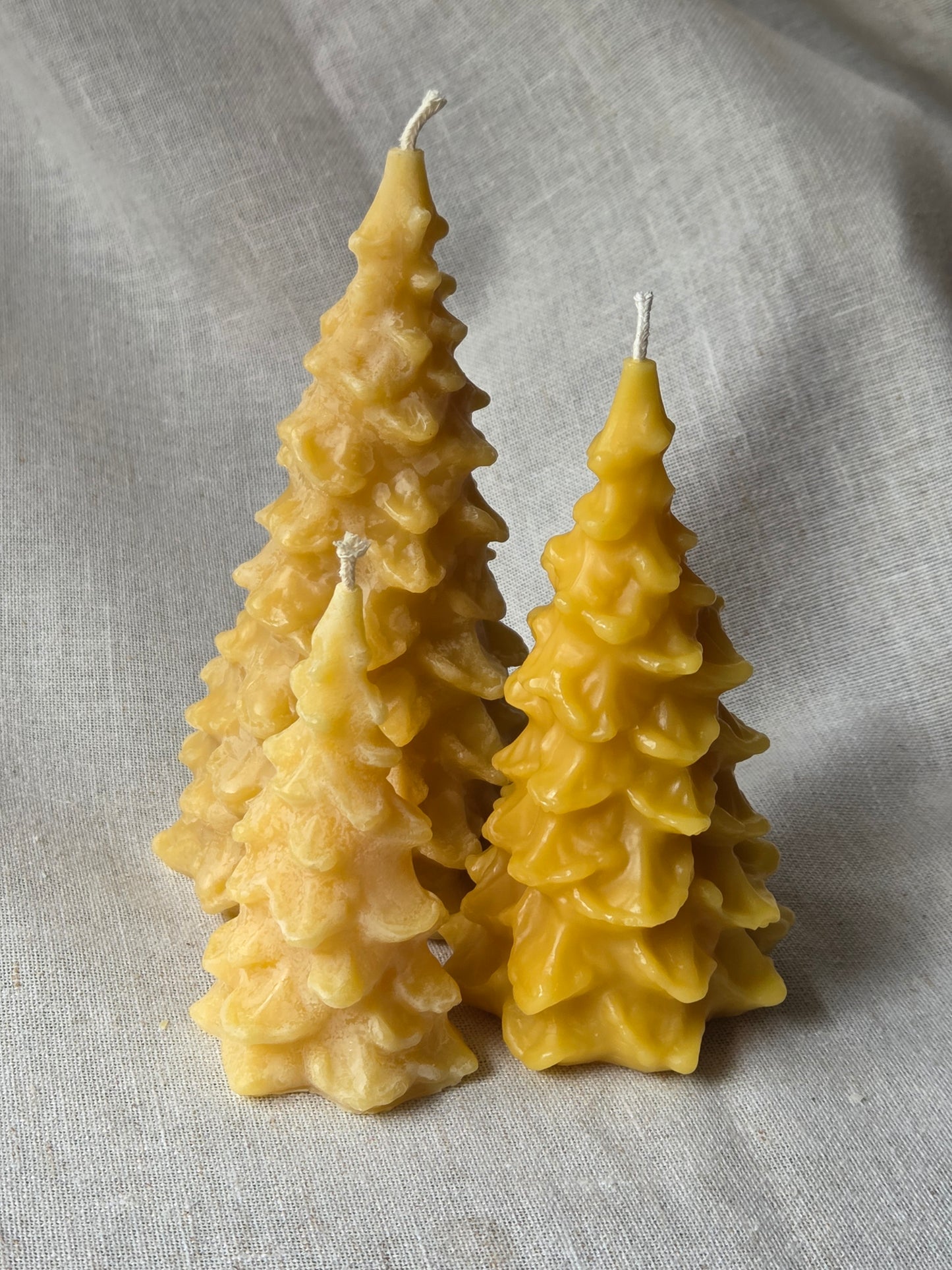 Fir Trees - 3 Sizes | Beeswax Candles