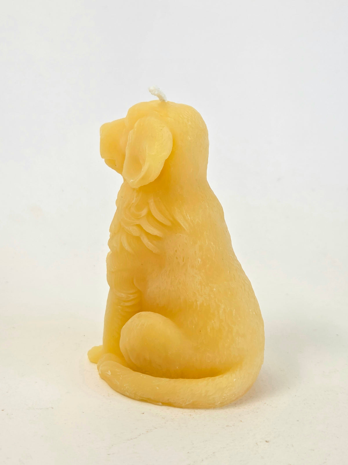 Man's Best Friend | Beeswax Candle