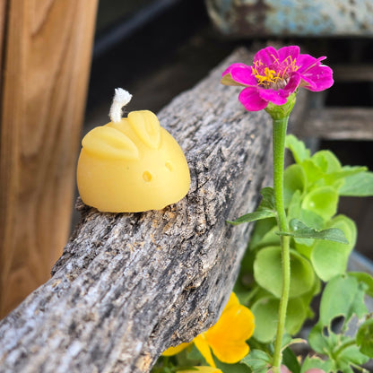 Bitty Bunny - Set of 2 | Beeswax Candle