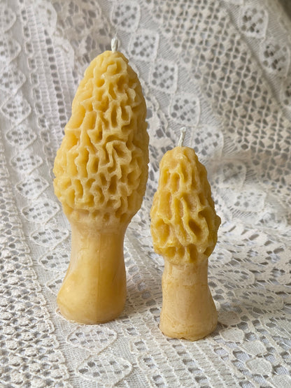 Morel Mushrooms - 2 Sizes | Beeswax Candles